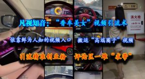 凡视知音:“香车美女”视频引流术,依靠鲜为人知的视频入口,搬运“高端圈子”视频,引流精准创业粉,评论区一堆“求带”-易得个人分享