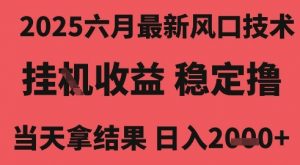 2025六月最新风口技术，无人挂G撸礼物，长期稳定 一个小时收益2k+，小白当天拿结果【揭秘】-易得个人分享