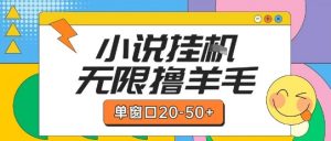 最新小说挂G自撸玩法本人实操单窗口20-50+可矩阵放大操作【揭秘】-易得个人分享