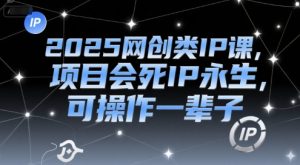 2025网创类IP课，项目会死IP永生，可操作一辈子-易得个人分享