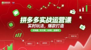 拼多多实战运营课，实时玩法，爆款打造，改销量，补大单，AB单，直播等（更新2025月）-易得个人分享