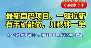 最新首码项目，一键拉新有手就能做，几秒钟一单，1个小时单号可60+，矩阵批量做每天5张【揭秘】-易得个人分享