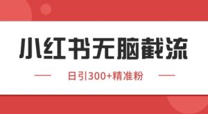 小红书截流同行客源，独家野路子获客玩法 日引200+暴力获客【揭秘】-易得个人分享