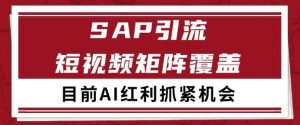 小红书某音sap赛道引流获客 自热矩阵日引200+【揭秘】-易得个人分享