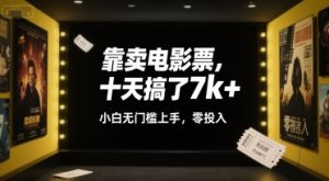 靠卖电影票，十天搞了7k+，小白无门槛上手，零投入【揭秘】-易得个人分享