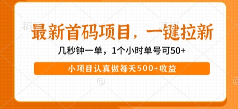 最新首码项目，操作最简单，收益高，一键拉新，1个小时单号可50+，小项目认真做每天5张+收益【揭秘】-易得个人分享