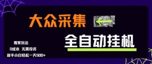 大众采集全自动玩法，新手小白轻松一天5张+，操作简单零成本【揭秘】-易得个人分享
