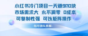 小红书冷门项目一天收益9张，市场需求大，0成本，可复制性强可以矩阵操作-易得个人分享