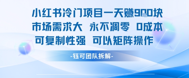 小红书冷门项目一天收益9张，市场需求大，0成本，可复制性强可以矩阵操作-易得个人分享