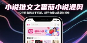 小说推文之番茄小说混剪40秒炸裂玩法手机版，新手也能快速复制操作-易得个人分享