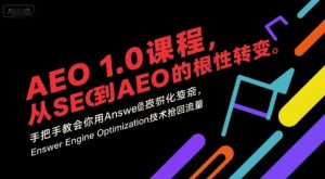 AEO 1.0 课程，从SEO到AE0的基命性转变，手把手教会你用AnswerEngineOptimization技术抢回流量-易得个人分享