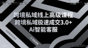 跨境私域线上高级课程，跨境私域极速成交3.0+Ai智能客服-易得个人分享