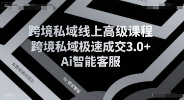 跨境私域线上高级课程，跨境私域极速成交3.0+Ai智能客服-易得个人分享