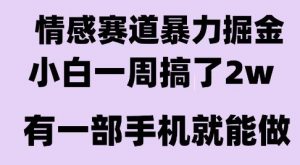 情感暴力掘金项目，新人操作一周挣了2W，长期稳定小白可做【揭秘】-易得个人分享