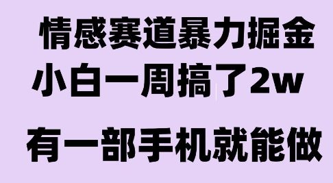 情感暴力掘金项目，新人操作一周挣了2W，长期稳定小白可做【揭秘】-易得个人分享