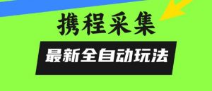 携程信息采集全自动玩法，0风控，无脑开干【揭秘】-易得个人分享