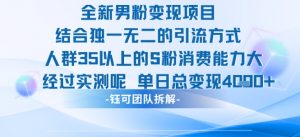 全新男粉变现项目引流人群35以上的男粉消费能力大 经过实测单日变现1k+-易得个人分享