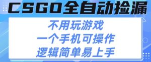 CSGO自动捡漏项目，最新独家玩法，不用挂G不用玩游戏，一个手机即可操作，新手小白轻松月入1W+【揭秘】-易得个人分享