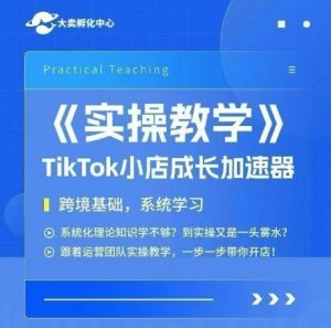 大卖家孵化中心TikTok实操课，TikTok小店成长加速器，跨境基础系统学习，一步一步带你开店-易得个人分享
