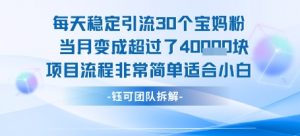 每天稳定引流30个人 当月变成超过了4个W项目流程非常简单适合小白-易得个人分享