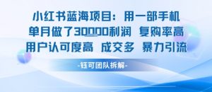 小红书蓝海项目，一部手机单月做了3W利润，小白也能月入过1W用户认可度高成交多-易得个人分享