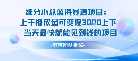 小众蓝海赛道项目：当天变现1k+适合新手操作 +适合长期玩-易得个人分享