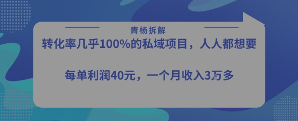 转化率最高的私域项目，每单利润40-50米，月入过1w-易得个人分享