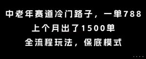 中老年赛道冷门路子，一单788，上个月出了1500单，全流程玩法，保底模式【揭秘】-易得个人分享