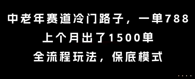 中老年赛道冷门路子，一单788，上个月出了1500单，全流程玩法，保底模式【揭秘】-易得个人分享
