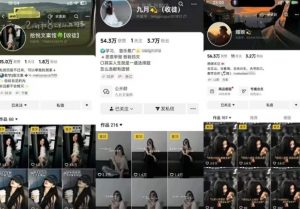 抖音图文文案赛道新玩法，快速养号起号，广告收益分成+橱窗带货+教学收徒等-易得个人分享