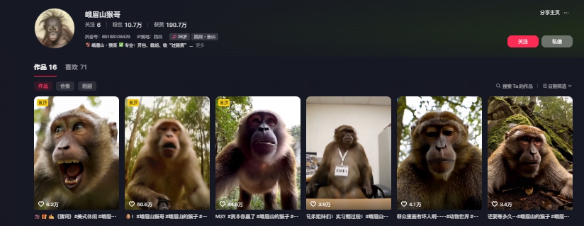 最新爆火的峨眉山猴子短视频制作教程，条条点赞10w+，谁做谁火【教程+提示词】-易得个人分享