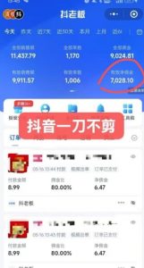 抖音短视频一刀不剪带货，不剪辑，不直播，每天发个视频，等着出单获取带货佣金-易得个人分享