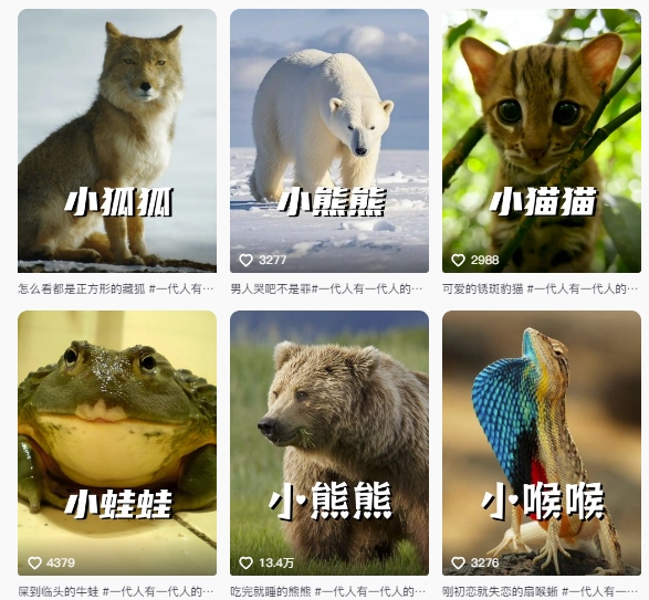 最新搞笑动物百科详细解说课程，蓝海赛道，流量非常大，轻松签独家进精选-易得个人分享