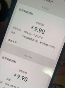 二次元男粉快速变现项目，私域卖虚拟产品，百分利润-易得个人分享