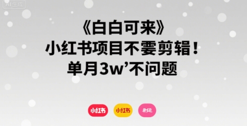 小白可来 小红书项目不需要剪辑 单月3w不是问题-易得个人分享