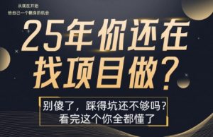 25年，你还在疯狂的找项目吗？别傻了，看完这个你都懂了【揭秘】-易得个人分享