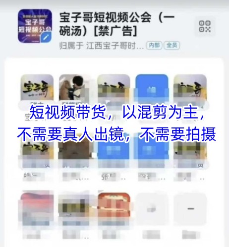宝子哥头部团队短视频带货，以混剪为主，不需要真人出镜，不需要拍摄【更新8月】-易得个人分享