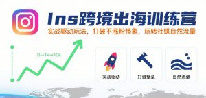 Ins跨境出海训练营，实战驱动玩法，打破不涨粉怪象，玩转社媒自然流量-易得个人分享