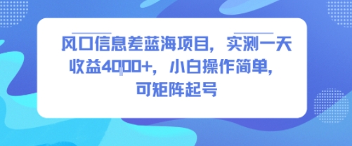 风口信息差蓝海项目，实测一天收益4k+，小白操作简单，可矩阵起号-易得个人分享