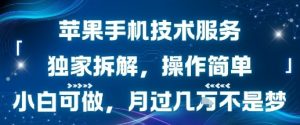 苹果手机技术服务，独家拆解，操作简单，小白可做，月过1W不是梦-易得个人分享