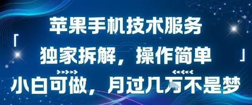 苹果手机技术服务，独家拆解，操作简单，小白可做，月过1W不是梦-易得个人分享