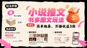 小说推文小红书多图文玩法，简单粗暴，万播收益3张-易得个人分享