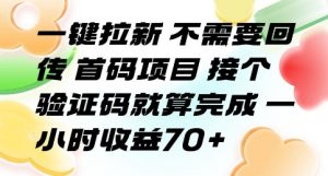 一键拉新 不需要回传 首码项目 接个验证码就算完成 一小时收益70+【揭秘】-易得个人分享