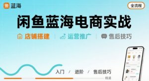 闲鱼蓝海电商实战，店铺搭建运营售后全流程-易得个人分享