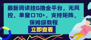 最新阅读挂G撸金平台，无风控，单窗口70+，支持矩阵，保姆级教程【揭秘】-易得个人分享