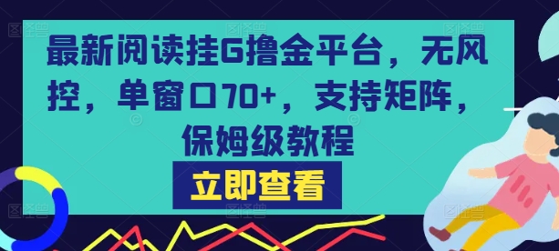 最新阅读挂G撸金平台，无风控，单窗口70+，支持矩阵，保姆级教程【揭秘】-易得个人分享