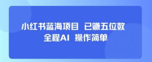 小红书蓝海项目，全程AI，操作简单，已挣五位数-易得个人分享