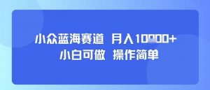 小众蓝海赛道，小白可做，操作简单，每天30分钟，月入1W+-易得个人分享