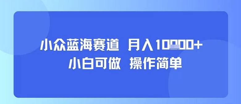 小众蓝海赛道，小白可做，操作简单，每天30分钟，月入1W+-易得个人分享