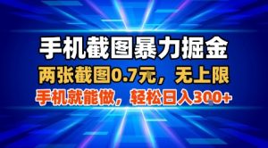 手机截图暴力掘金，两张截图0.7米，一部手机就能做，轻松日入3张+【揭秘】-易得个人分享